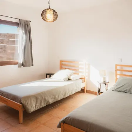 Upupa * 라 올리바