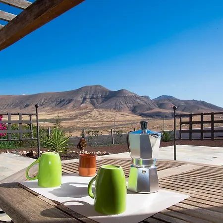 Upupa * 라 올리바