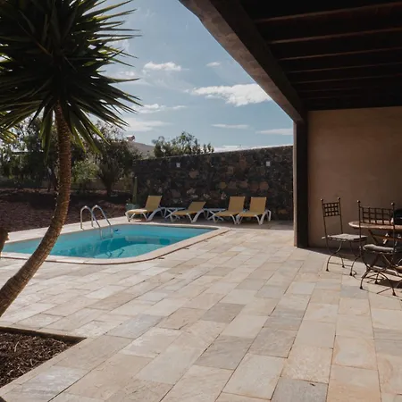 Upupa 拉·奥利瓦