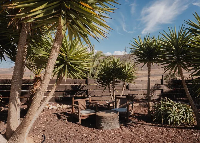 Upupa 拉·奥利瓦