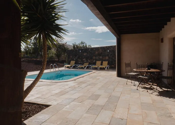 Upupa 拉·奥利瓦